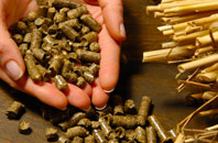 free Retallack biomass boiler quotes